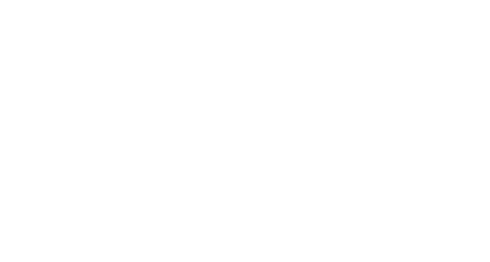 Aloha Transportation USA